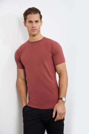 5 Pack Athletic Fit Crew Neck T-Shirt in Faded Terracotta/ Dusty Lilac/ Blue/ Sage/ Sand - TAILORED ATHLETE - USA