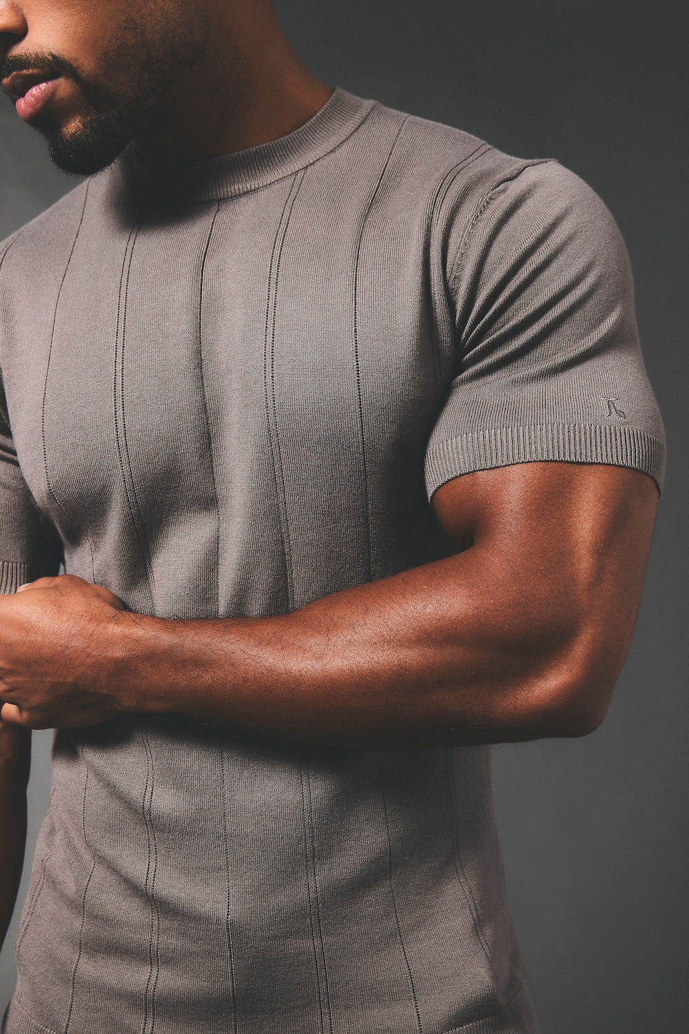 Vertical Stripe Knitted T-Shirt in Taupe - TAILORED ATHLETE - USA