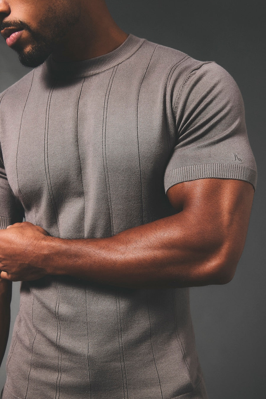 Vertical Stripe Knitted T-Shirt in Taupe - TAILORED ATHLETE - USA