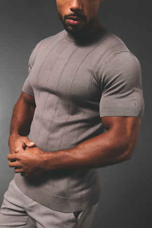 Vertical Stripe Knitted T-Shirt in Taupe - TAILORED ATHLETE - USA